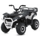 Дитячий квадроцикл електро M 6127EBLR–1 4×25W 24V4,5AH білий