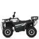 Дитячий квадроцикл електро M 6127EBLR–1 4×25W 24V4,5AH білий