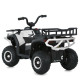 Дитячий квадроцикл електро M 6127EBLR–1 4×25W 24V4,5AH білий