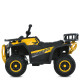 Дитячий квадроцикл електро M 6127EBLR–6 4×25W 24V4,5AH жовтий