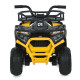Дитячий квадроцикл електро M 6127EBLR–6 4×25W 24V4,5AH жовтий