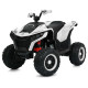 Дитячий квадроцикл електро M 6128EBLR–1(24V) 4×75W 24V7AH білий